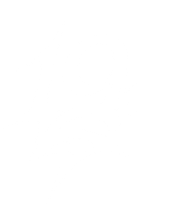 Nineteenstars